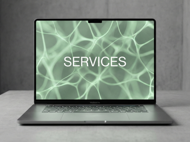 services fuer webprojekte