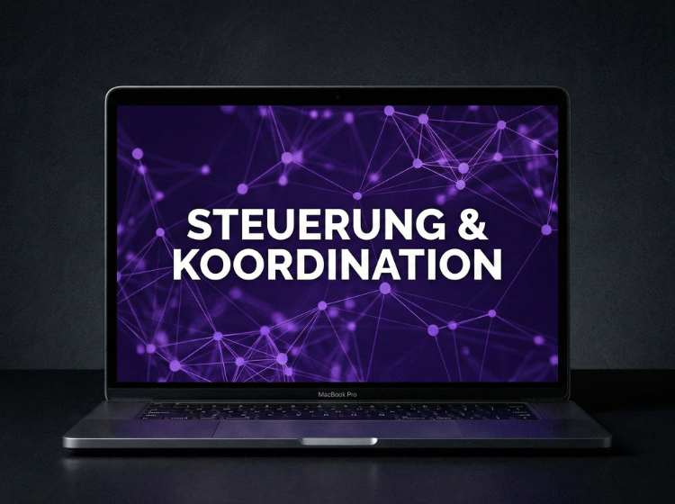 steuerung und koordination von webprojekten